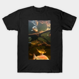 Gold fish in the water T-Shirt